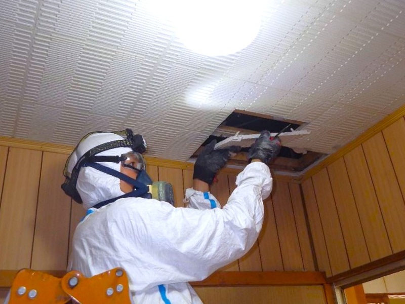 被害状況調査 天井