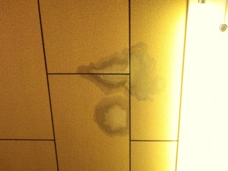 被害状況調査 天井