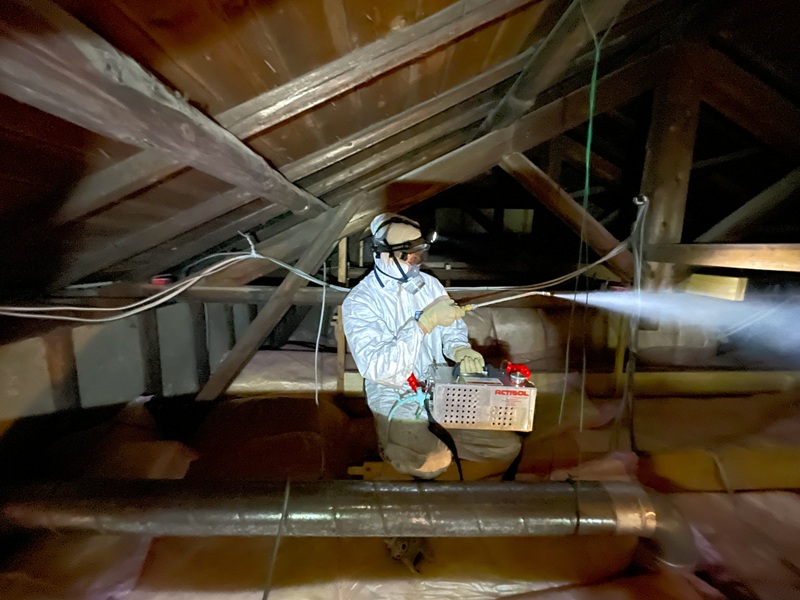 現状裏 殺菌消毒