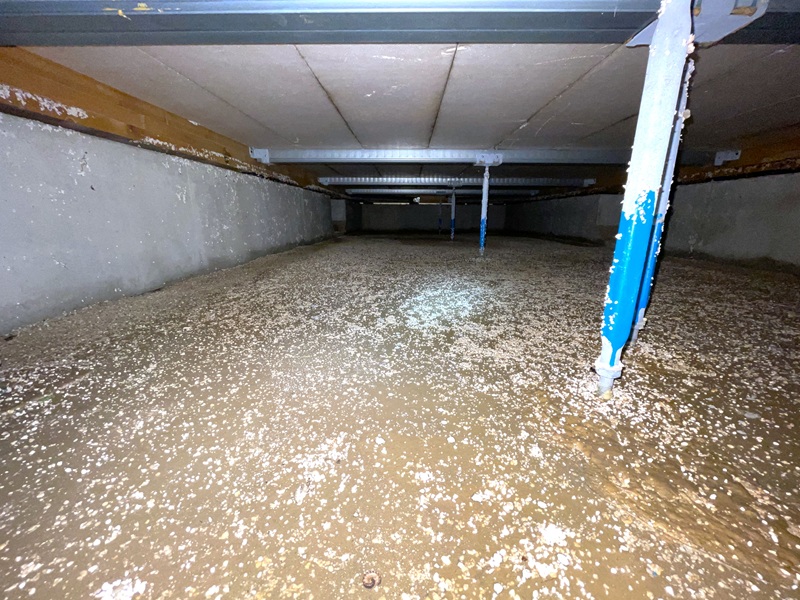 床下汚損の様子