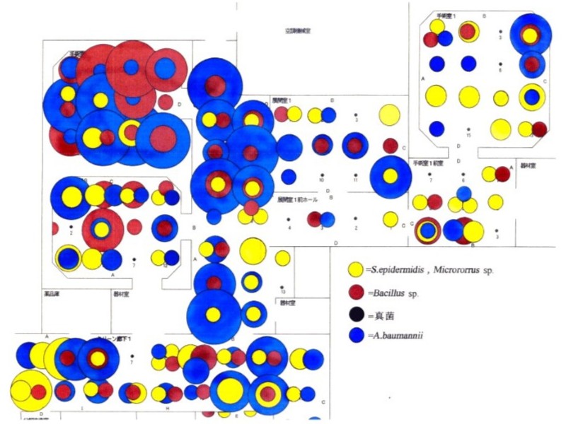 ハザードマップ